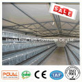 Hot Galvanization Layer Chicken Cage System (A frame)